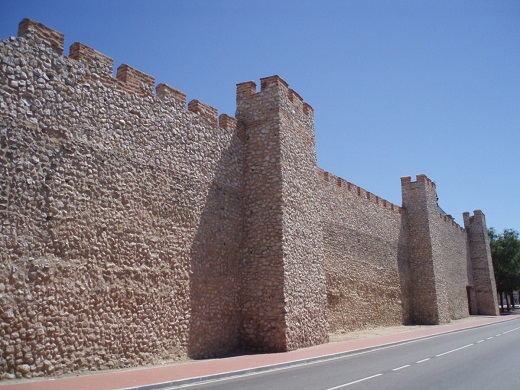 La muralla de Olmedo data del siglo XI (debido a su situación en las Comunidades de Villa y Tierra), y está situada en el municipio vallisoletano de Olmedo, Castilla y León, (España). De la muralla original de la ciudad sólo queda en pie la tercera parte, estando mejor conservada la zona norte y oriental. De los accesos tan sólo se conservan los de de San Miguel y el de la Villa.